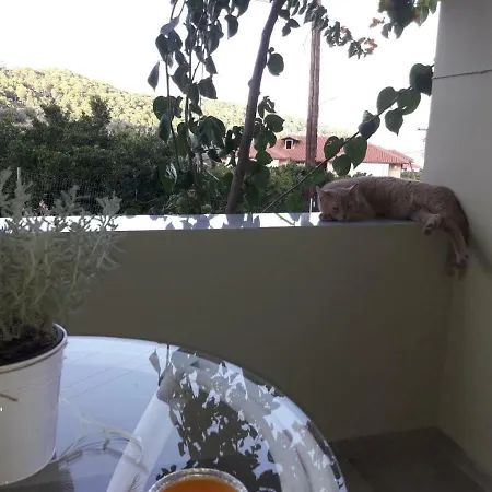 Spiti Portokali Epidaurus