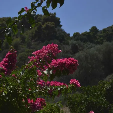 Spiti Portokali شقة *