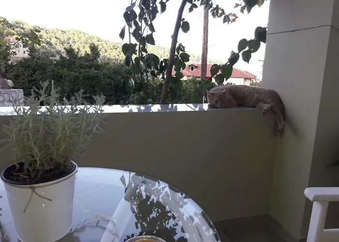 Spiti Portokali Epidaurus